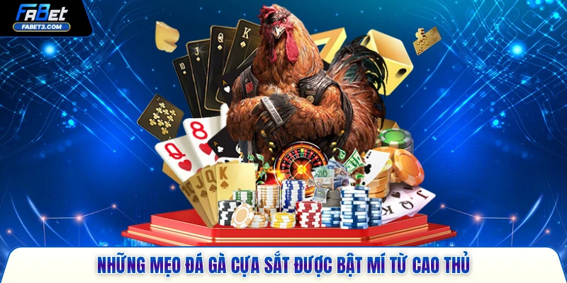 Những mẹo đá gà cựa sắt được bật mí từ cao thủ