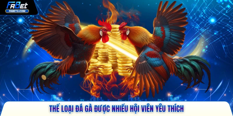 Thể loại đá gà được nhiều hội viên yêu thích